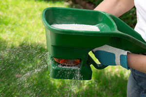 Overland Park lawn care programs