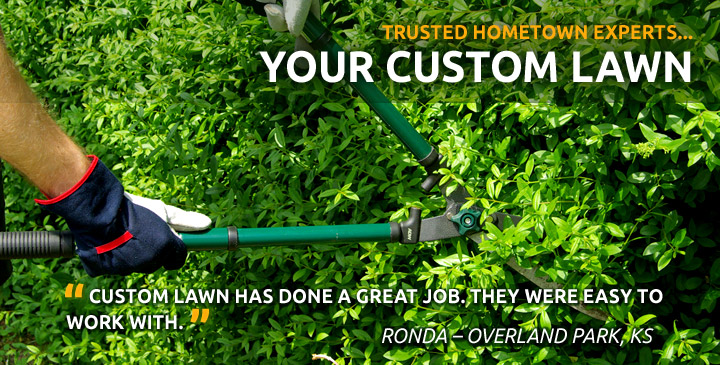 tree shrub care johnson county olathe custom lawn