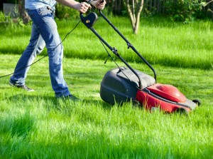 lawn mowing thick grass