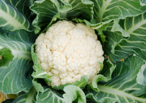 cauliflower for fall vegetables in KC