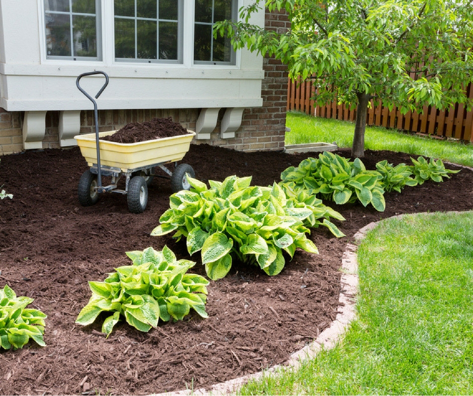custom-lawn-and-landscaping-kansas-city-plant-bed-with-mulch