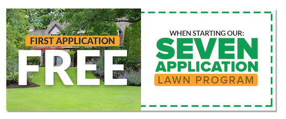 7 application lawn care program