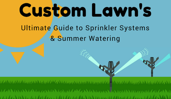Sprinkler System Checklist for Summer Watering