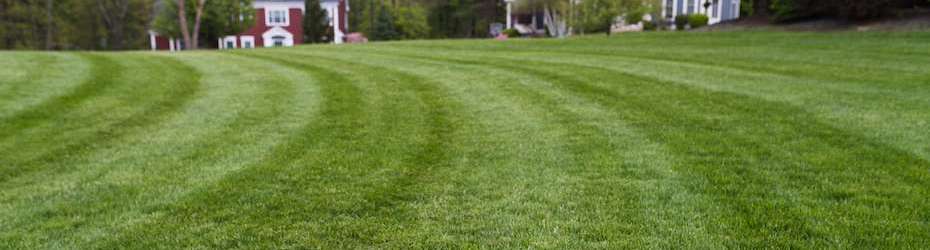 Overland Park Lawn Care by Custom Lawn
