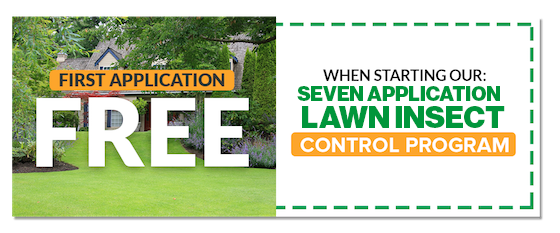 First Application Free of 7 Lawn Insect Applications