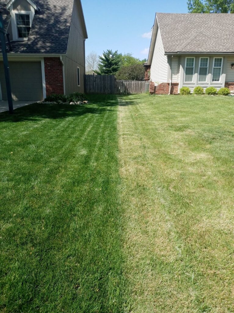 Spring Lawn With Winterizer Applied