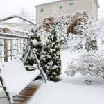 Snowy backyard photo