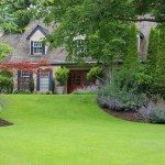 Fertilizer helps keep lawn green